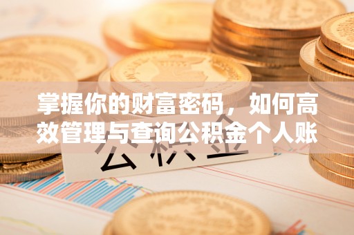 富蕴掌握你的财富密码，如何高效管理与查询公积金个人账户信息