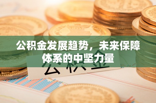 富蕴公积金发展趋势，未来保障体系的中坚力量